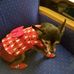 Patty Dailey - Facebook