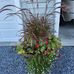 Patty Dailey - Facebook