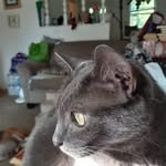 Patty Dalton - @pattydalton - Instagram