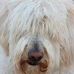 Patty Daly - Facebook