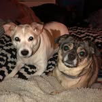patti damron - @patloudam - Instagram