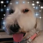 Patti Danner - @patti_dan.ner - Instagram