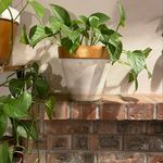 Patty darrah - @pattys_moving_sale - Instagram