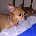 Patty Decarlo - Facebook
