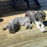 Patti DeVries - @outwest17 - Instagram
