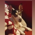 Patty Devries - @devries6259 - Instagram