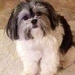Patty Dooley - @patty.dooley.77 - Instagram