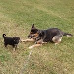 Patty Parker Dooley - @pattyadooley - Instagram
