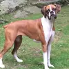 pattydutton679 - @pattydutton679 - TikTok