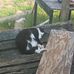 Patty Dyer - Facebook
