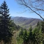 Patty Dyer DeLong - @pauldelong53 - Instagram