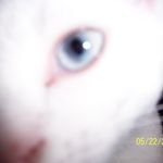 Patty Dyer West - @pattydyerwest - Instagram