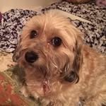 Patty Earp - @earppatty - Instagram