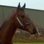 Patty Easley - @pattyeasley - Instagram