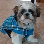 Patty Easley - @gpeasle - Instagram
