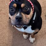 Patty Easter Cox - @pattyc71 - Instagram