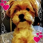 Pattie Easterling - @pattieeasterling - Instagram
