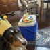 Patty Eck Wojakowski - Facebook