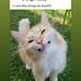 Patti Eckert - Facebook