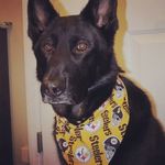 Patty Eckert - @pat10550 - Instagram