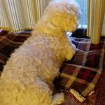 Patty Buskirk Ellis - @pattyellis6267 - Instagram