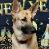 Patty Ellis - @mygsd_harper - TikTok