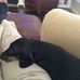 Patty Ellison - Facebook