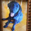 Patty Ely - @patto.ely - TikTok