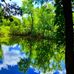 Patty Ervin - Facebook