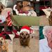 Patty Erwin - Facebook