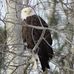Patty Marcus Esch - Facebook