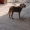 Patty Estes - @patty.estes8 - TikTok