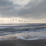 Patty Estes - @patty.estes.5 - Instagram