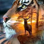 Patty Estes - Facebook