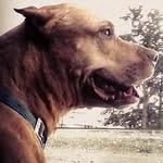Patti Farris Myers - @pattimyers3 - Instagram