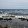 pattyfarris1088 - @pattyfarris1088 - TikTok