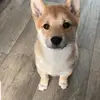 Patty Ferman907 - @pattyferman - TikTok