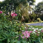 Nancy Patty Whetzel Ferris - @whetzelferris - Instagram