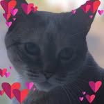Patty Carson Ferris - @pattycarsonferris - Instagram