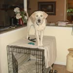 Patty Ferris Van Kirk - @mattpatvk - Instagram