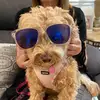 pattyferris749 - @pattyferris749 - TikTok