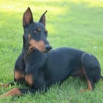Patti Towne Fetzer - Facebook
