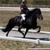 pattyfleming378 - @flempat - TikTok