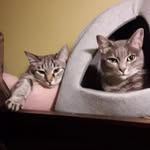 Patty - @pattyflorio63 - Instagram