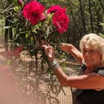 Patty Forester - @patty.forester.75 - Instagram