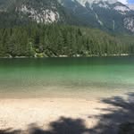 Pattyfor - @patty.foresti - Instagram