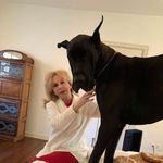 Patty Fox - @patty.fox.54379 - Instagram