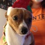 Patti Frame - @pattiframe1 - Instagram