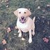 Patty Guth Frame - Facebook