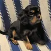 Patty Franks - @patty.franks7 - TikTok